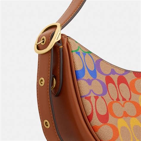 Luna Shoulder Bag In Rainbow Signature Canvas .